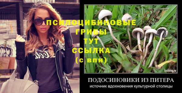 сатива Белокуриха