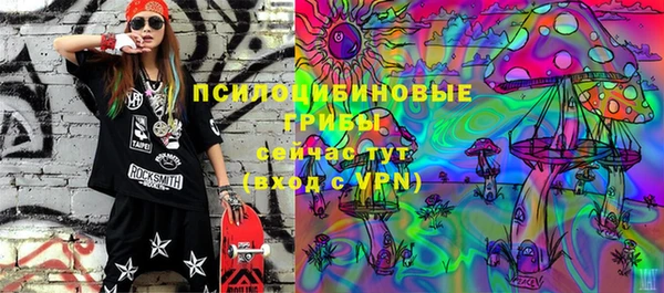 сатива Белокуриха