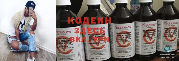 сатива Белокуриха
