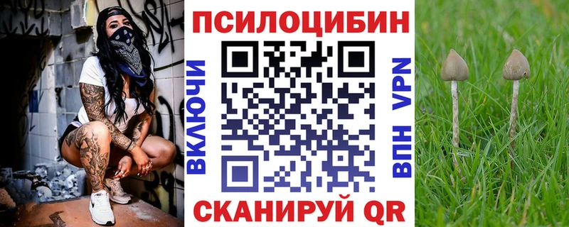 Псилоцибиновые грибы Psilocybine cubensis  Новочеркасск 